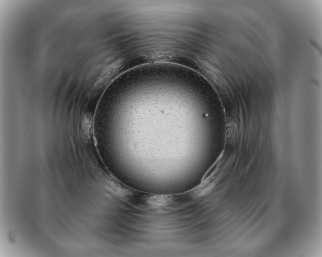 X0000091200142200708161623