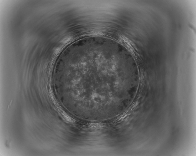 X0000091200145200708161622