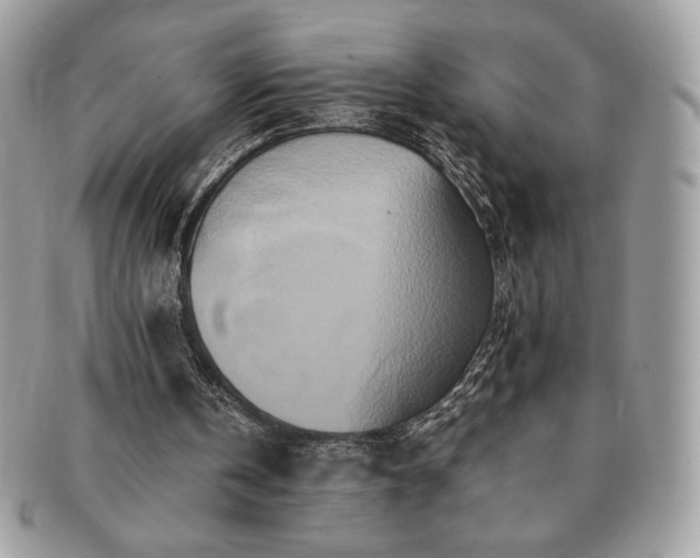 X0000091200146200708161622