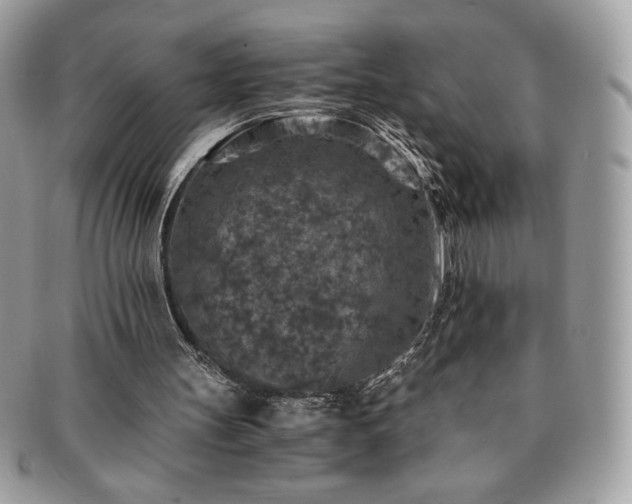 X0000091200147200708161622