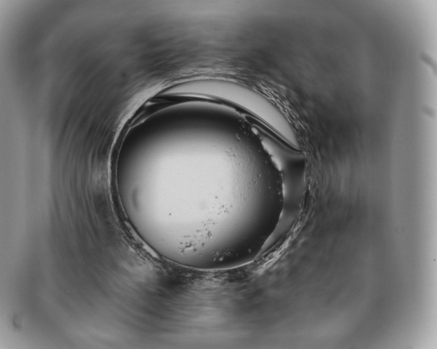 X0000091200148200708161622