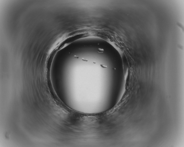 X0000091200150200708161622