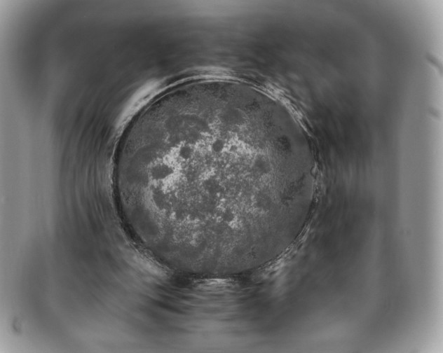 X0000091200151200708161622