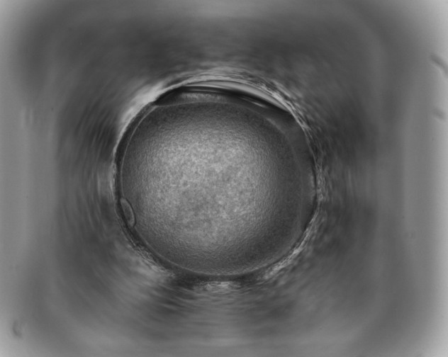 X0000091200152200708161622