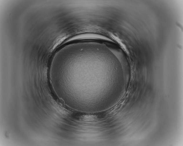 X0000091200154200708161622