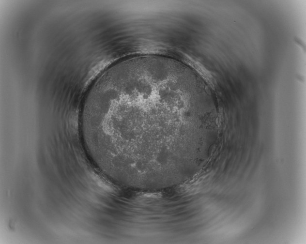 X0000091200155200708161622