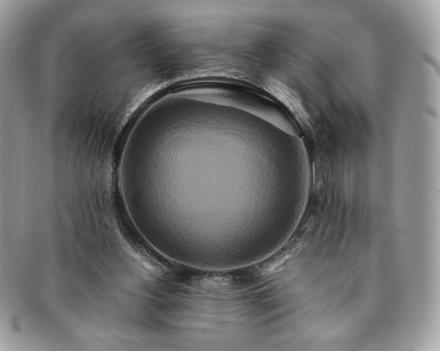 X0000091200156200708161622