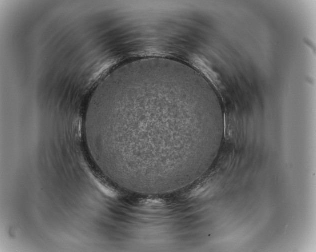 X0000091200157200708161622