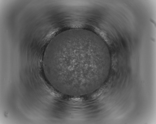 X0000091200161200708161622