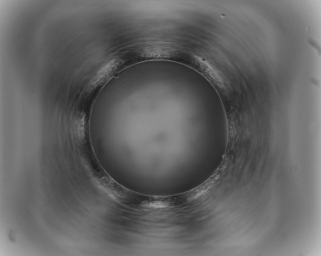 X0000091200163200708161622
