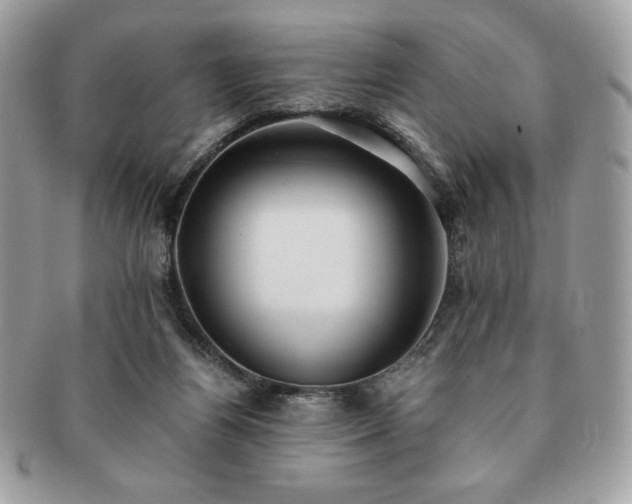 X0000091200164200708161622