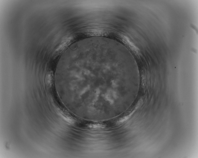X0000091200165200708161622