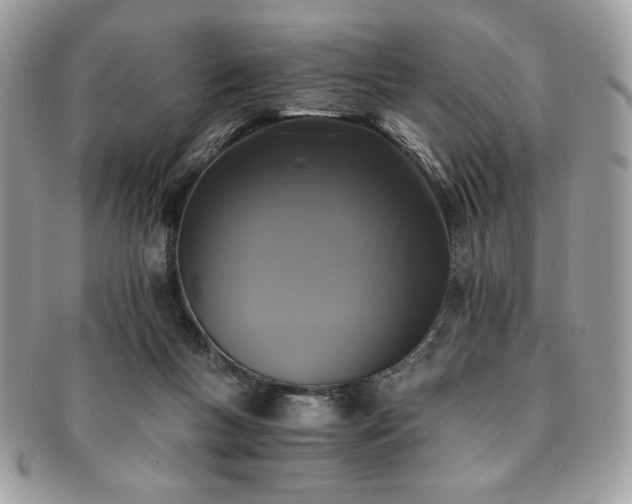 X0000091200167200708161622