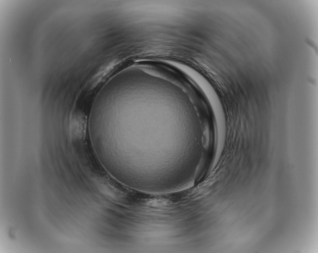 X0000091200168200708161622