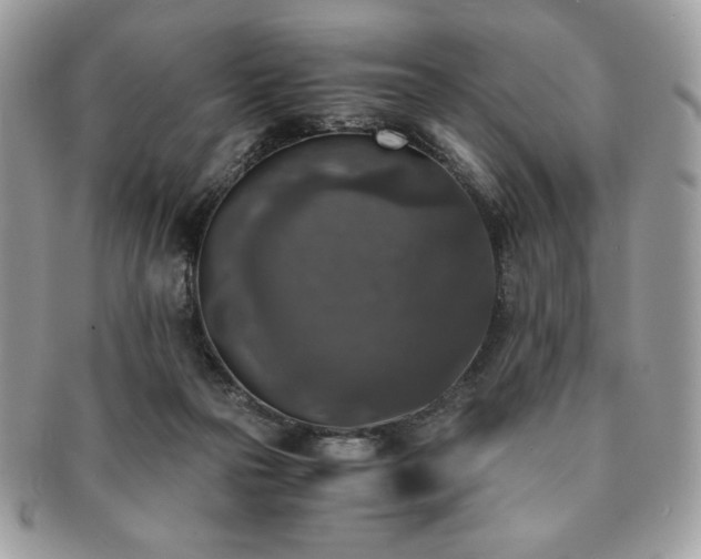 X0000091200169200708161622