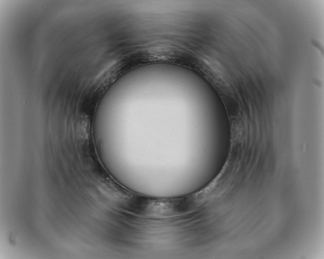 X0000091200174200708161622