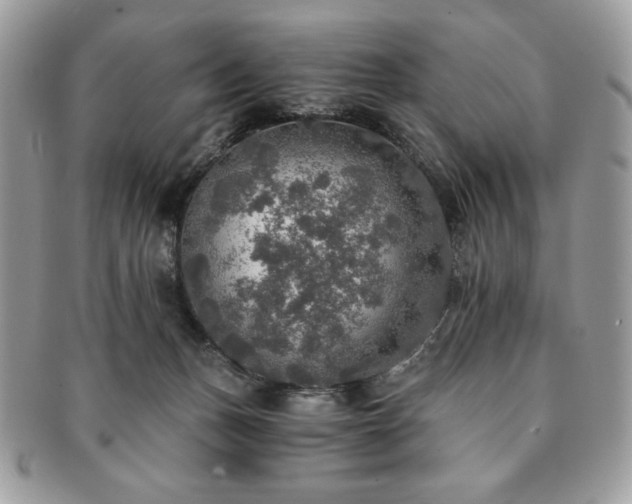 X0000091200175200708161622