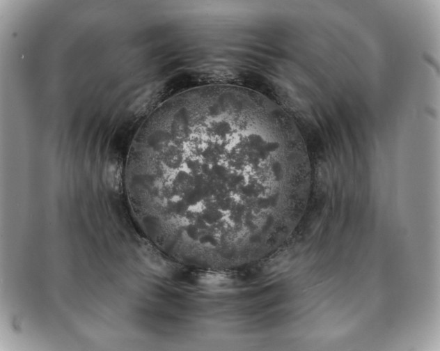 X0000091200177200708161622