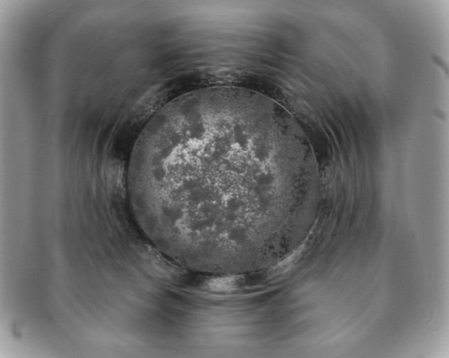 X0000091200178200708161622