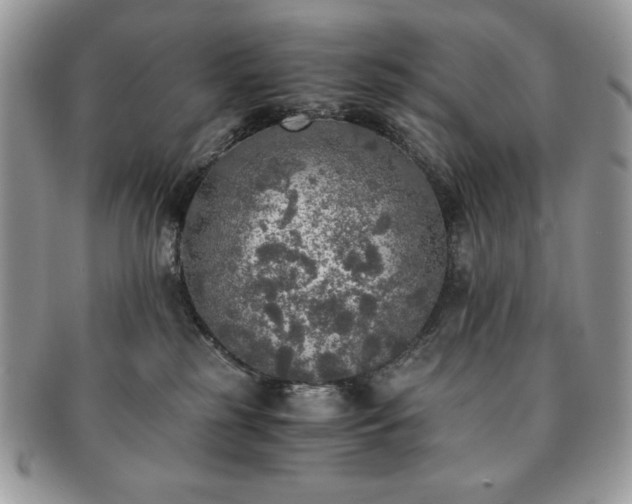 X0000091200185200708161623