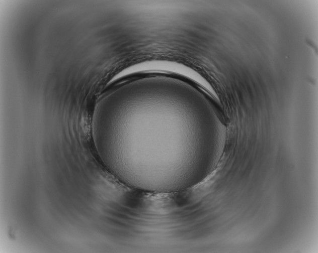 X0000091200186200708161623