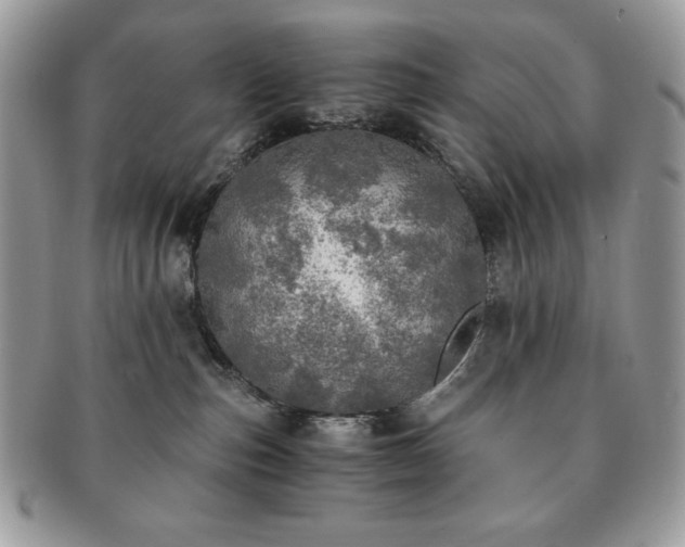 X0000091200187200708161623