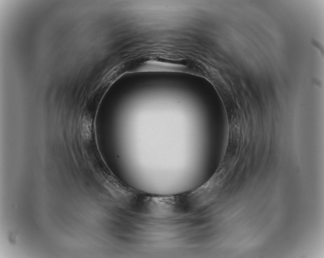X0000091200188200708161623