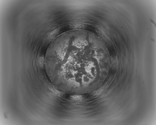 X0000091200189200708161623
