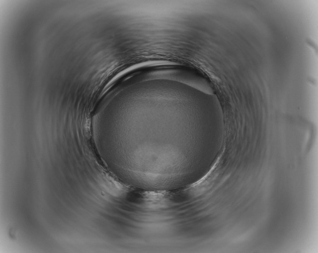 X0000091200192200708161623