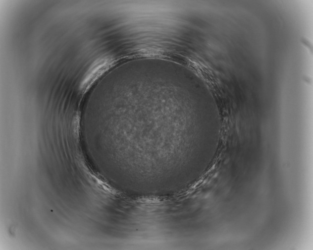 X0000091200194200708161622
