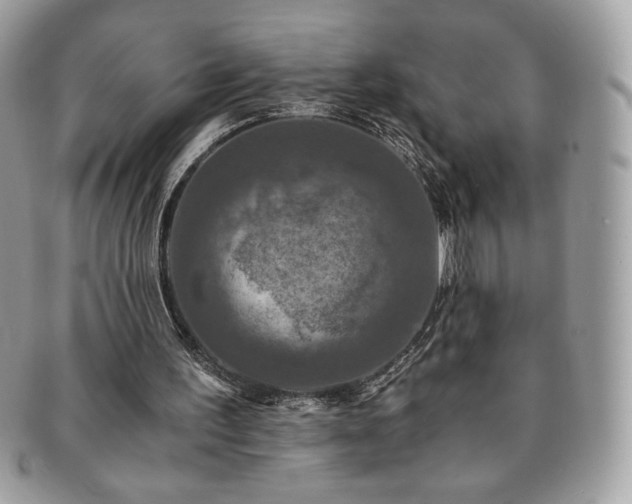 X0000091200195200708161622