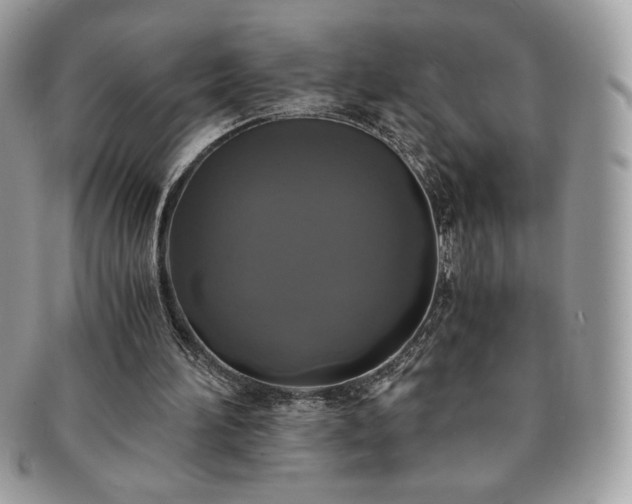 X0000091200196200708161622