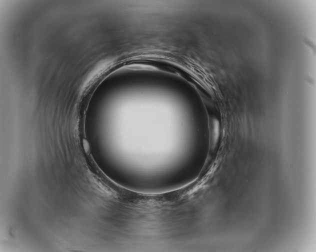 X0000091200197200708161622
