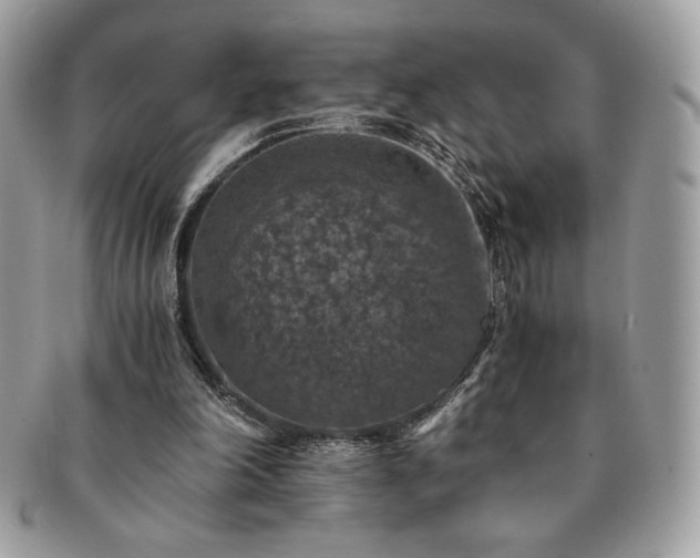 X0000091200198200708161622