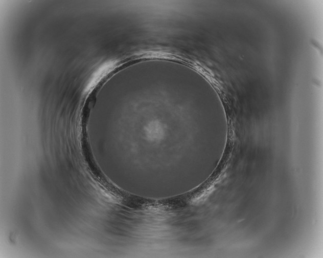 X0000091200199200708161622