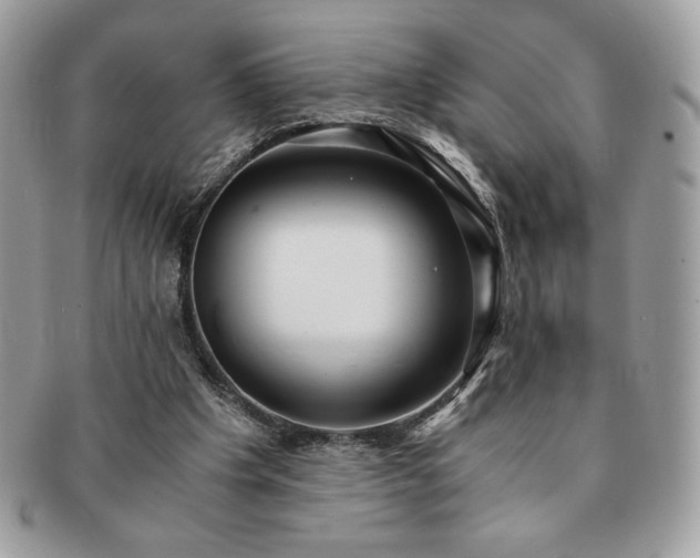 X0000091200201200708161622
