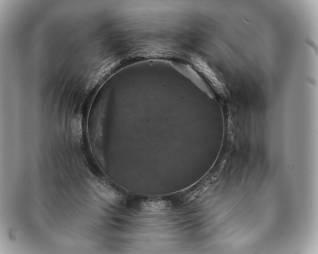 X0000091200202200708161622
