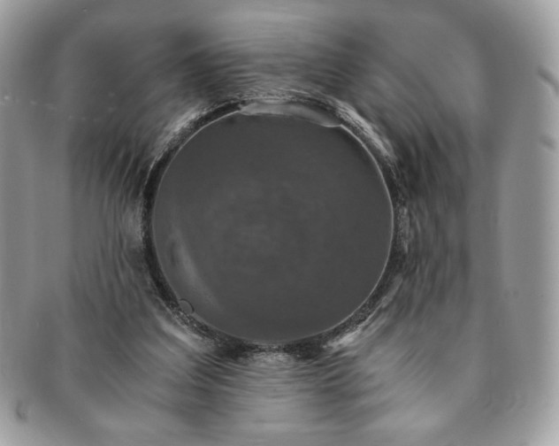 X0000091200203200708161622