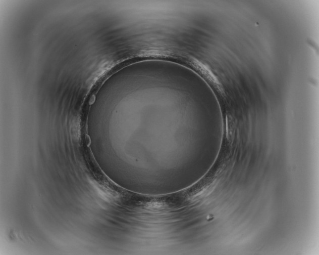 X0000091200204200708161622