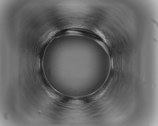 X0000091200205200708161622