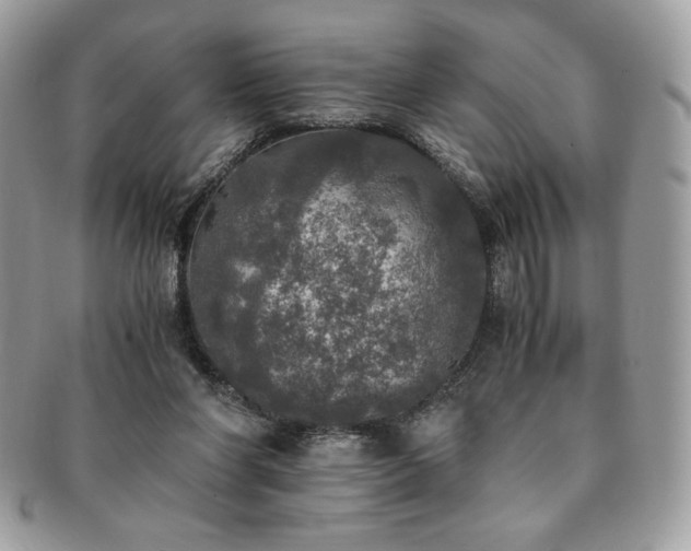 X0000091200206200708161621
