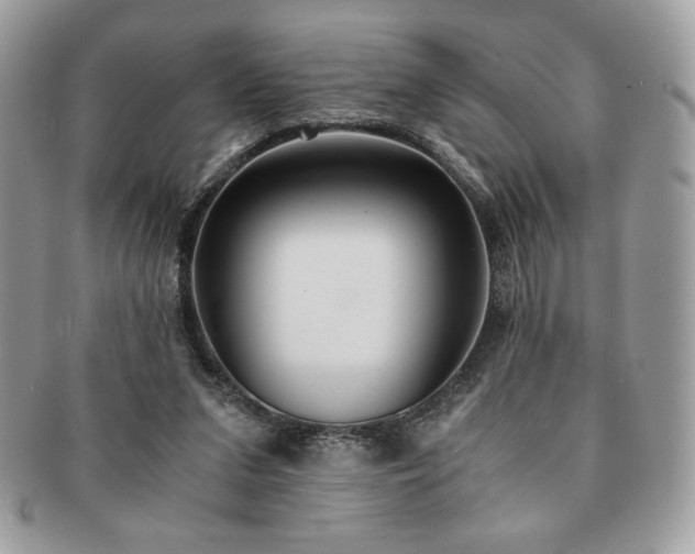 X0000091200207200708161621