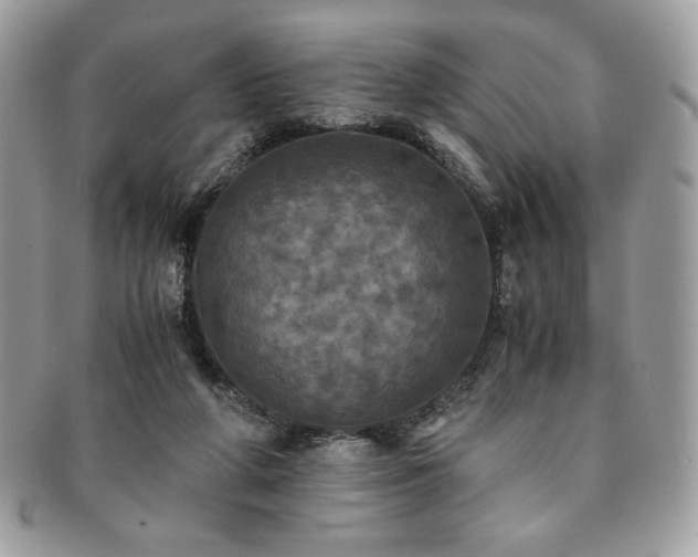 X0000091200210200708161621
