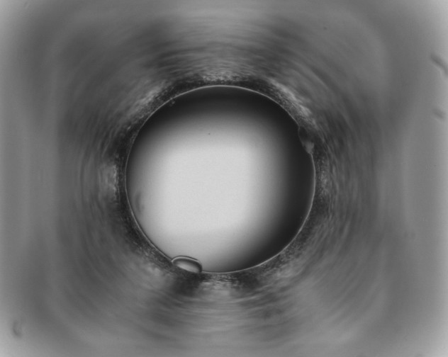 X0000091200211200708161621
