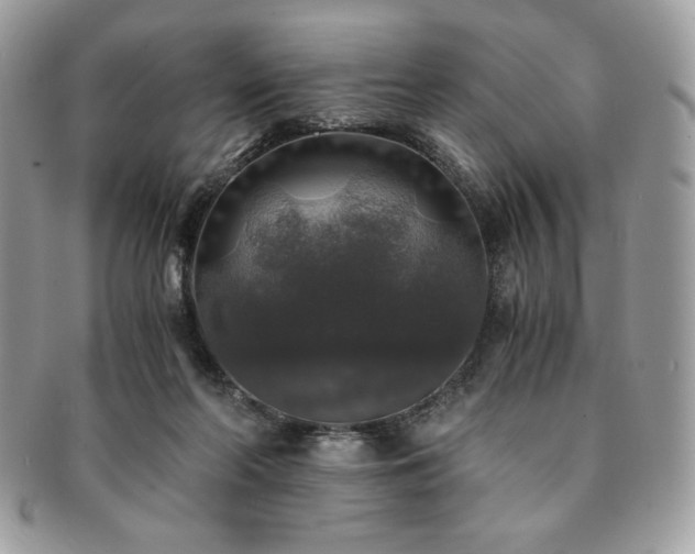 X0000091200214200708161621
