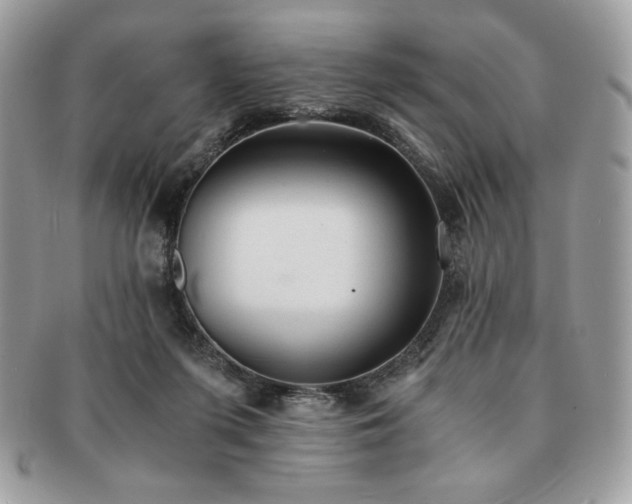 X0000091200215200708161621