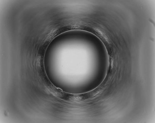 X0000091200217200708161621