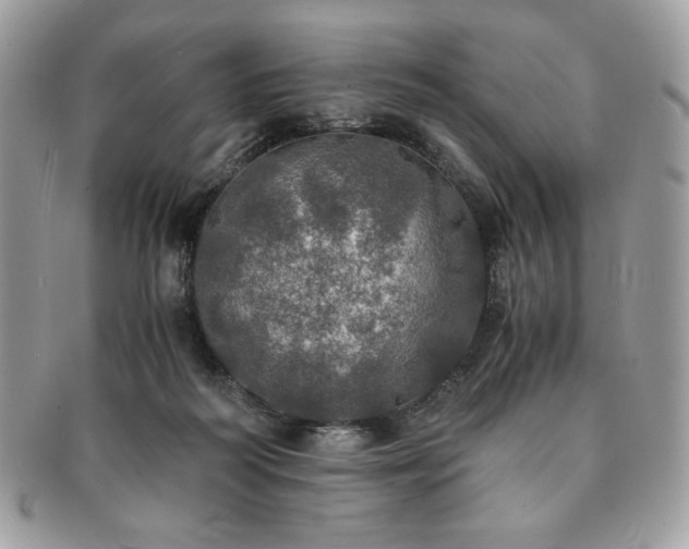 X0000091200218200708161621