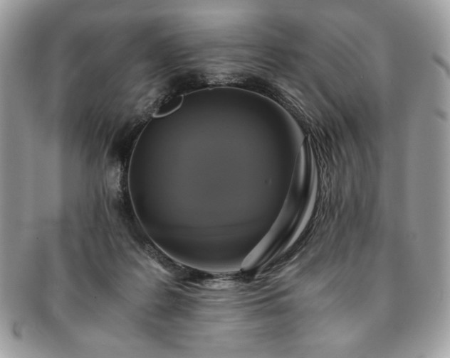 X0000091200219200708161621