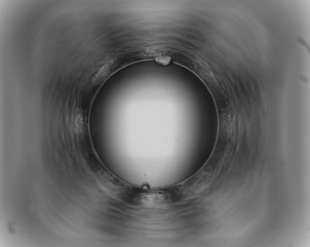 X0000091200220200708161621